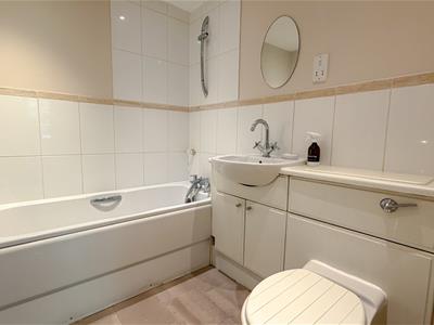 Picture 7